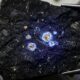 Âmbar mais antigo do mundo é encontrado por cientistas chineses em bloco de carvão: ele tem cerca de 385 milhões de anos