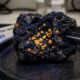 China descobre âmbar mais antigo que os dinossauros, e ele guarda memórias da Terra primordial