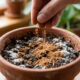 Esse ingrediente comum de cozinha elimina o mofo branco da terra do vaso em 24 horas: o truque simples com propriedades fungicidas