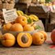 Adeus, pêssegos: essa fruta laranja de casca aveludada é doce, cheia de benefícios e só tem 48 calorias em 100 gramas