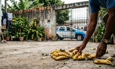 Vizinho pega bananas que caíram no próprio quintal e a polícia precisou ser chamada para resolver o caso