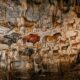 Cientistas analisam mais de 500 pinturas feitas há até 16 mil anos em cavernas bascas e descobrem que os animais obedeciam a um código visual perdido