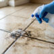 Mistura de cloro com água: para que serve a solução clássica e como aplicar para eliminar manchas pretas de mofo de pisos e azulejos