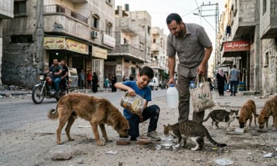 Menino enfrenta dificuldades em Gaza enquanto cuida de centenas de animais abandonados