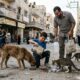 Menino enfrenta dificuldades em Gaza enquanto cuida de centenas de animais abandonados