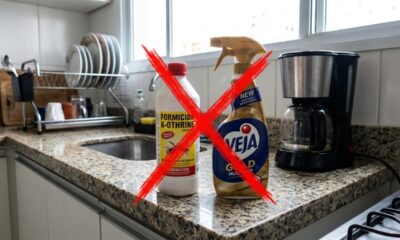 Nem veneno nem produto caro: 3 óleos naturais que as formigas costumam evitar na cozinha
