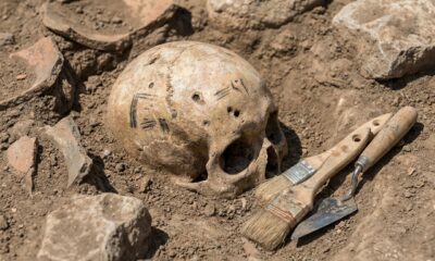 Crânio de 4 mil anos encontrado em escavação revela marcas de uma antiga cerimônia