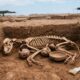 Cães de 1.100 anos encontrados revelam como era a relação entre humanos e animais
