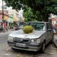 Motorista estaciona embaixo de árvore em via pública, fruta cai e amassa o capô, ele processa a prefeitura e descobre que a responsabilidade depende de quem plantou a árvore