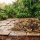 Coloque caixas de papelão no jardim: o truque secreto dos jardineiros que pode ajudar a reduzir ervas daninhas e melhorar o solo