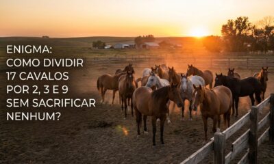 Resolva este enigma em 60 segundos: um fazendeiro deixou 17 cavalos de herança para seus três filhos. O testamento dizia que o mais velho ficaria com metade dos cavalos; o filho do meio, com um terço; e o mais novo, com um nono. Como dividir 17 cavalos por 2, 3 e 9 sem sacrificar nenhum animal?