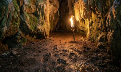 Como um grupo percorreu 800 metros dentro de uma caverna há 14,4 mil anos usando apenas galhos de pinheiro
