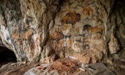 DNA humano preservado em paredes de cavernas por milhares de anos abre uma nova janela para o passado