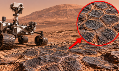 Estruturas em formato de colmeia intrigam cientistas em Marte: o que o rover Curiosity encontrou