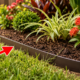 Jardineiro ensina instalar uma borda de jardim sem refazer o canteiro inteiro