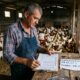 Produtor rural investe R$ 45 mil para criar 200 frangos de corte por lote em sistema integrado, entrega 6 lotes por ano, recebe R$ 8.500 por lote da integradora, fatura R$ 51 mil ao ano, mas gasta R$ 38 mil entre energia, ração complementar, manutenção de galpão e mão de obra, sobram R$ 13 mil, menos de R$ 1.100 por mês