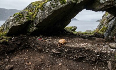 Crânio de criança de 4.000 anos encontrado na Noruega revela pistas sobre a vida dos primeiros agricultores