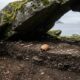 Crânio de criança de 4.000 anos encontrado na Noruega revela pistas sobre a vida dos primeiros agricultores