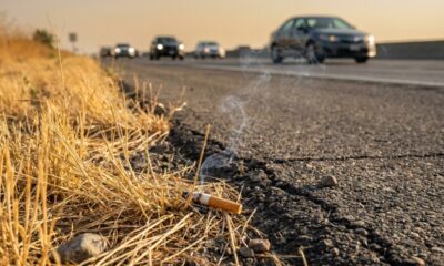 Motorista joga bituca de cigarro pela janela do carro sem pensar, mas descobre que esse hábito pode render multa de R$ 130,16