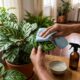 Passar detergente neutro nas folhas das plantas: para que serve e por que jardineiros experientes recomendam