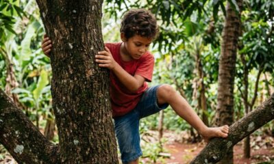 A psicologia aponta que crianças que subiam em árvores não estavam apenas brincando, mas desenvolvendo uma habilidade importante para a vida