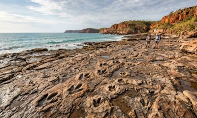 Pegadas de dinossauros descobertas na Austrália revelam corredor natural utilizado por diferentes espécies