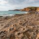Pegadas de dinossauros descobertas na Austrália revelam corredor natural utilizado por diferentes espécies