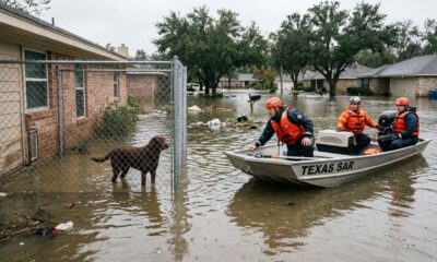 Equipes de resgate ajudam vítimas das enchentes no Texas e encontram centenas de animais ilhados