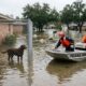 Equipes de resgate ajudam vítimas das enchentes no Texas e encontram centenas de animais ilhados