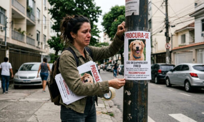 Dono desesperado cola fotos de cachorro perdido nos postes do bairro, encontra o pet mas recebe multa municipal de R$ 10 mil por poluição visual