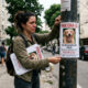 Dono desesperado cola fotos de cachorro perdido nos postes do bairro, encontra o pet mas recebe multa municipal de R$ 10 mil por poluição visual