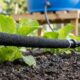 Jardineiro ensina a montar um sistema de irrigação com mangueira sem usar bombas elétricas