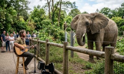 Músico canta para animais em zoológico e reúne momentos que encantaram a internet ao longo do ano