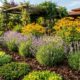 Plante estas 3 espécies em julho e tenha um jardim mais bonito e florido nos próximos meses