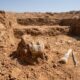 Fragmento de mandíbula encontrado há décadas revela uma espécie humana extinta ainda mais antiga