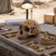 Todos os fósseis de Homo naledi analisados em caverna podem ser de fêmeas, e o motivo intriga cientistas