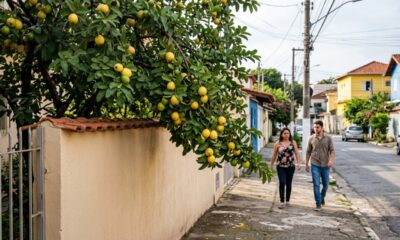 Homem colhe frutas de um galho que avançava sobre a calçada, mas morador aparece e diz que tudo ainda pertencia à árvore dentro do quintal
