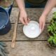 Misture 1 colher desse ingrediente na água de rega e seu tomateiro voltará a produzir como nunca