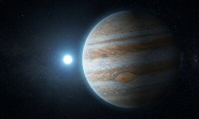 Planeta que sobreviveu à morte de sua estrela pode revelar o futuro do Sistema Solar