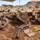 Fósseis e doenças raras revelam a verdadeira origem das histórias sobre gigantes humanos