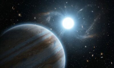 Cientistas descobrem como um planeta sobreviveu à morte de sua estrela
