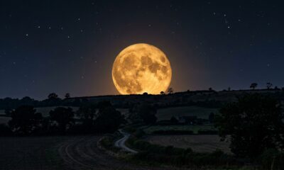Lua do Cervo encanta observadores com efeito dourado no céu: saiba quando acompanhar o fenômeno