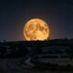Lua do Cervo encanta observadores com efeito dourado no céu: saiba quando acompanhar o fenômeno