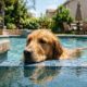 Mulher percebe que a casa ficou em silêncio e vai ver como está seu cachorro