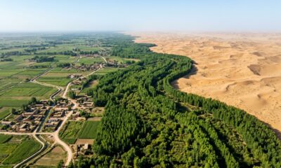 Após plantar 66 bilhões de árvores contra a desertificação, a China encontrou um efeito que não estava nos planos