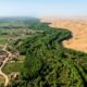 Após plantar 66 bilhões de árvores contra a desertificação, a China encontrou um efeito que não estava nos planos