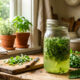 Calda de folhas de tomateiro: como usar o spray natural rico em alcaloides para combater e repelir insetos sugadores das suas plantas