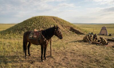 Arqueólogos revelam por que os citas escolhiam cavalos adultos para antigos rituais funerários