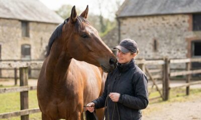 Cavalos conseguem sentir o cheiro do medo humano: estudo mostra como isso muda o comportamento dos animais