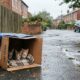 Gatinhos abandonados na chuva têm reencontro emocionante com a mãe